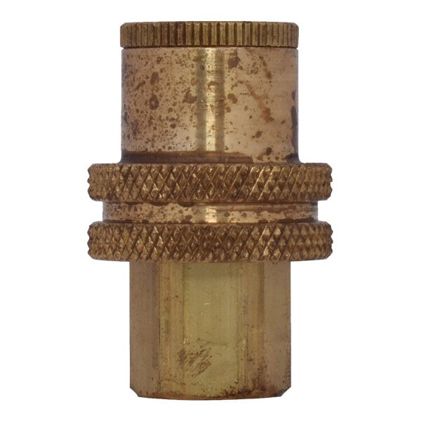 Ring-Type Auto Type C Female Coupler - 1/4" Body x 1/4" NPT