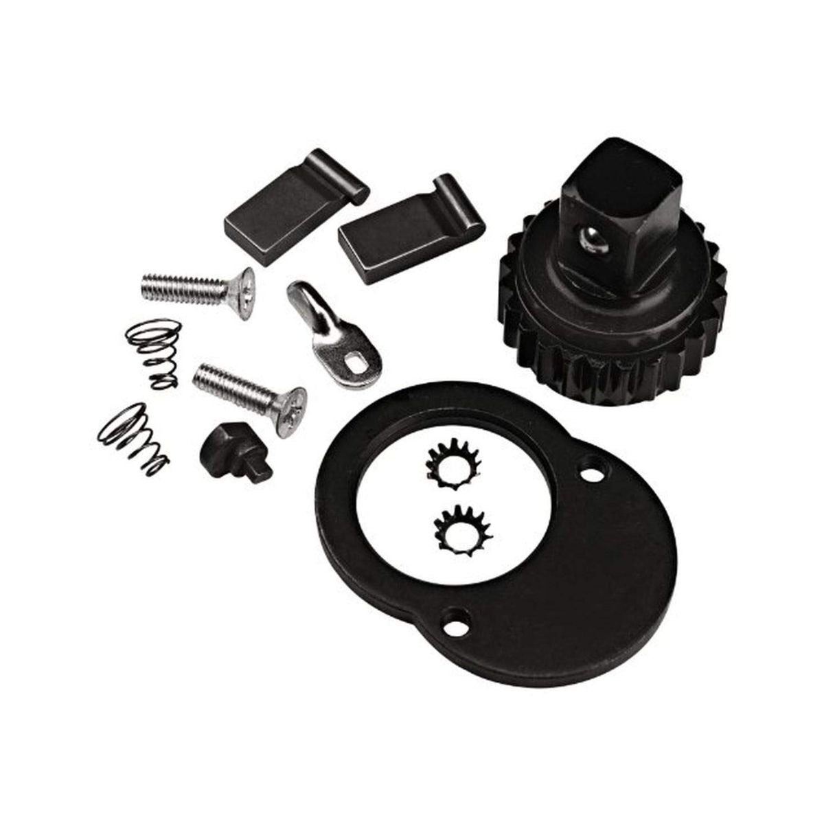 Ratchet Head Repair Kit for 250-SB Torque Wrench