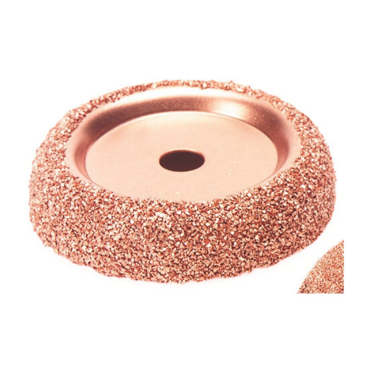 2-1/2" Radius Cup Rasp